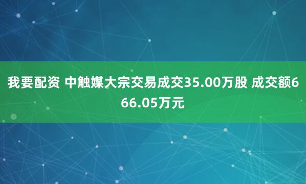 我要配资 中触媒大宗交易成交35.00万股 成交额666.05万元
